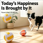 Squeaky Dog Toy Ball (Durable Latex/Vinyl Soccer, Volleyball & Rugby Ball for Dogs)