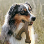 Bacon Flavored Nylon Dog Bone Chew Toy for Aggressive Chewers