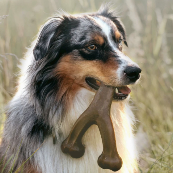 Bacon Flavored Nylon Dog Bone Chew Toy for Aggressive Chewers