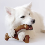 Bacon Flavored Nylon Dog Bone Chew Toy for Aggressive Chewers